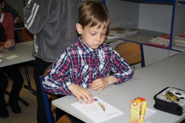 Megyei helyesírási verseny